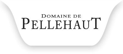 Domaine de Pellehaut